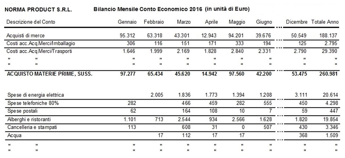 esempio di bilancio mensile